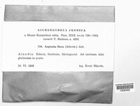 Image Associated With the Occurrence